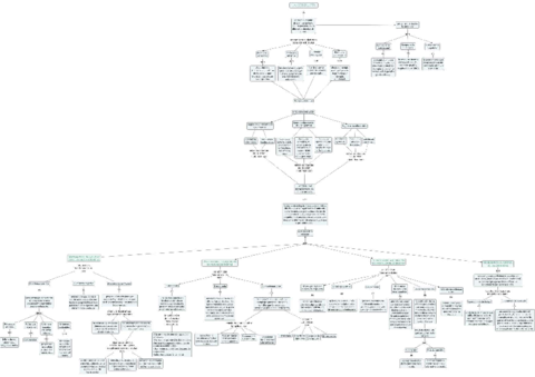 Mapa-conceptual-PAP-tema-3.pdf
