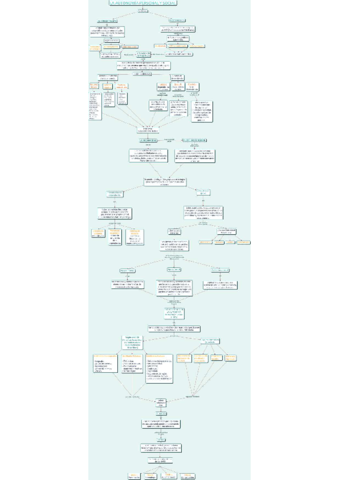 Mapa-conceptual-PAP-tema-1.pdf