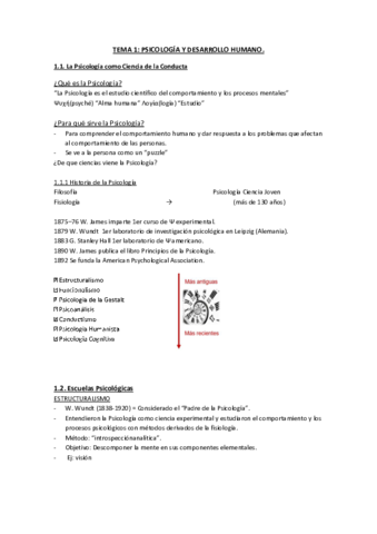 Apuntes finales psicología 2021.pdf