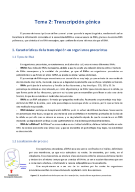 T2. Transcripción .pdf