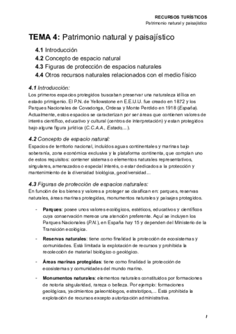 Tema-4--Patrimonio-natural-paisajistico-y-Parques-Nacionales.pdf
