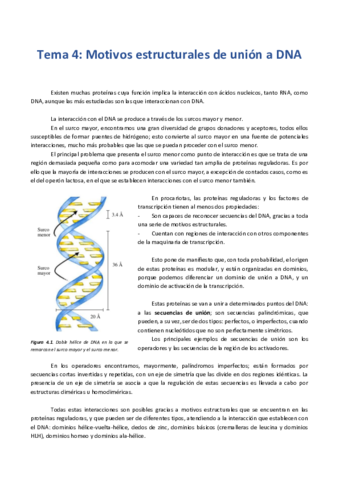 T4. Motivos estructurales de unión a DNA.pdf