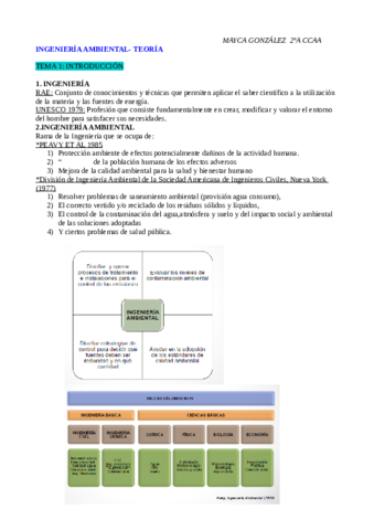 Resumen Ing.pdf
