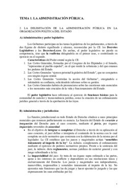 TEMA 1. .pdf