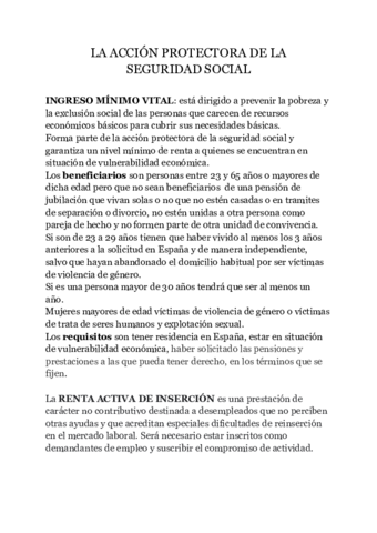 Apuntes-Accion-protectora-de-la-seguridad-social.pdf