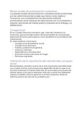 Voluntariado.pdf