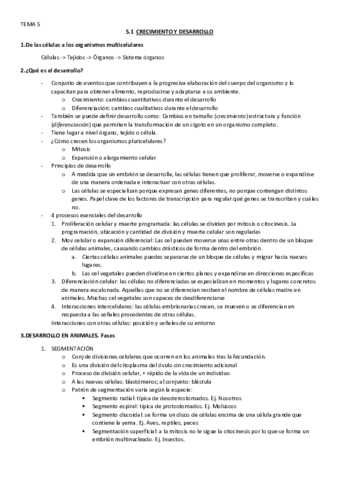 TEMA-5.pdf