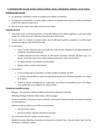 TEMA-3.pdf