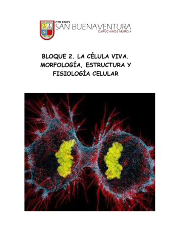 Bloque-2.pdf