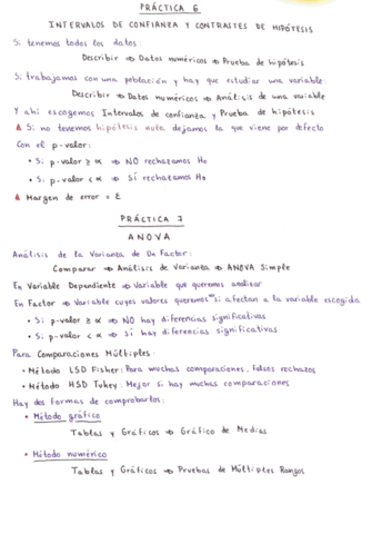 Resumen-Practicas-6-7.pdf