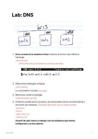 LabDNS.pdf