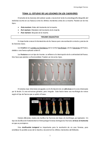 TEMA-11-ESTUDIO-DE-LAS-LESIONES-EN-LOS-CADAVERES.pdf
