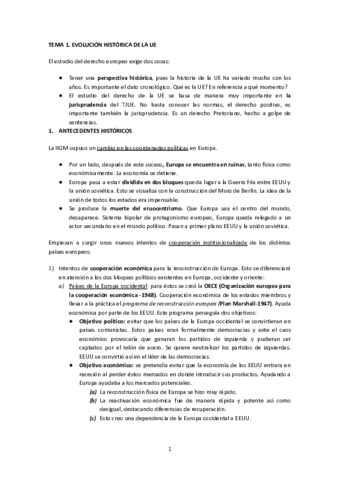 Apuntes-Instituciones-de-derecho-comunitario.pdf