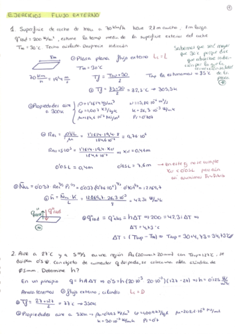 flujo-externo-ejer-.pdf