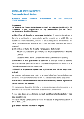 Actividad-sobre-tutela-DDFF-dretLaiaVillalba.pdf