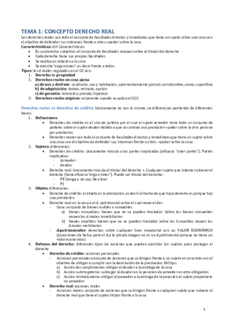 Apuntes-dret-reals.pdf