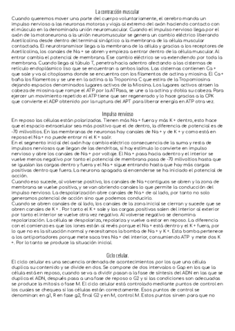 Preguntas-de-teoria-.pdf