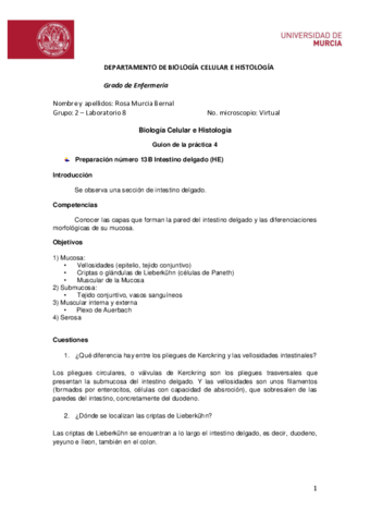 Guion-practica-4.pdf