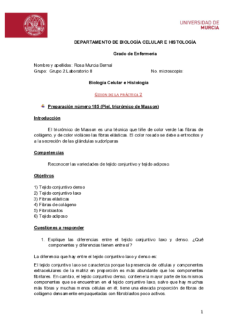 ROSA-MURCIA-BERNAL-Guion-practica-2-9.pdf