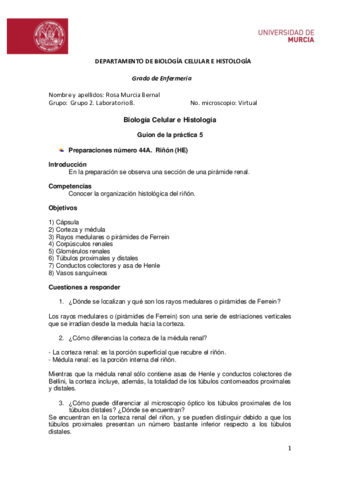 Guion-practica5.pdf