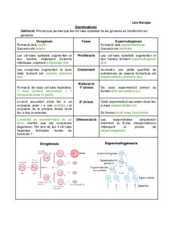 Gametogenesi.pdf