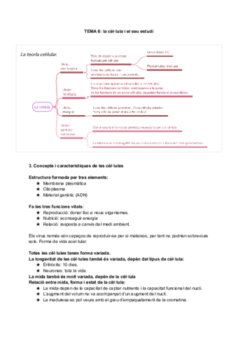 Trimestral-bio-2-parte-1.pdf
