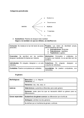trimestral-caste.pdf