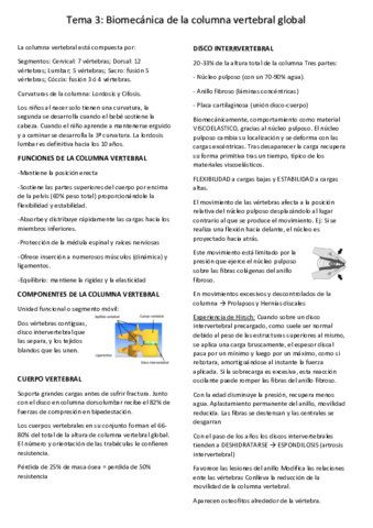 tema-3-biomec.pdf