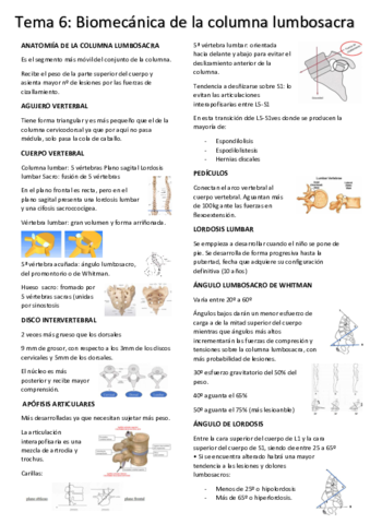 tema-6-biomec.pdf