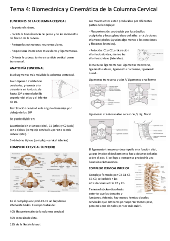 tema-4-biomec.pdf