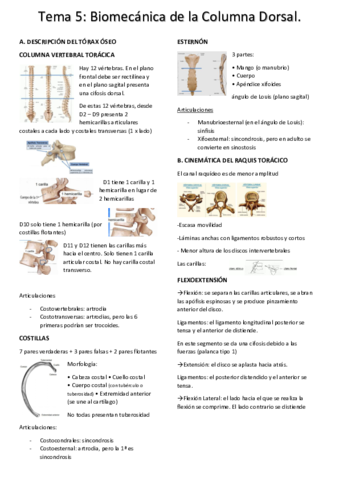 tema-5-biomec.pdf