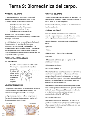 tema-9-biomec.pdf