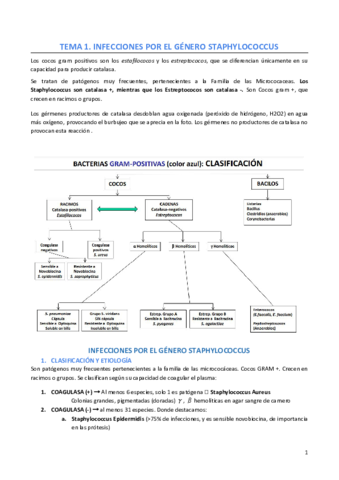 Tema-1.pdf