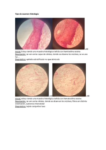 Tipo-examen-Histologia.pdf