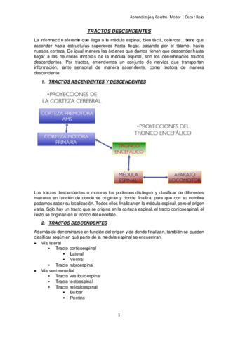 TRACTOS-DESCENDENTES.pdf