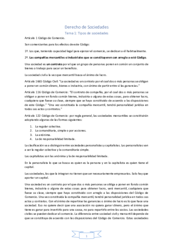 Derecho-de-Sociedades.pdf