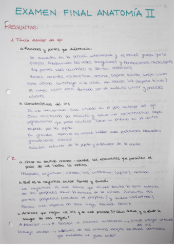 EXAMEN-SEGUNDO-PARCIAL-ANATOMIA-II.pdf