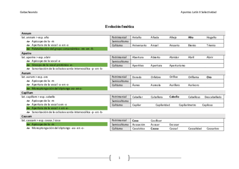 Evolucion-fonetica-PEvAU.pdf