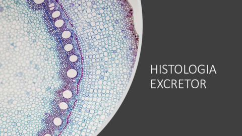 Histologia-excretor.pdf