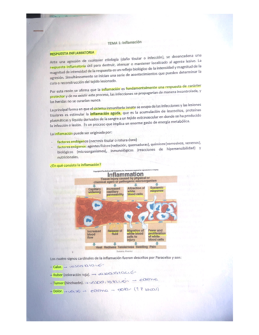Resumenes-inmunologia.pdf