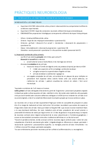 ApuntsPractiquesOnline.pdf