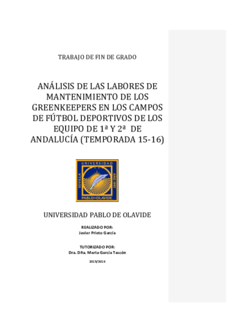 TFG-Javier Prieto .pdf