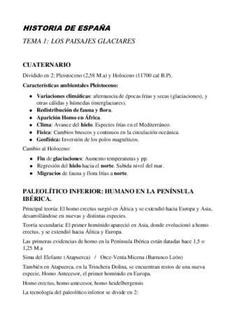 HISTARIA-DESPANYA.pdf