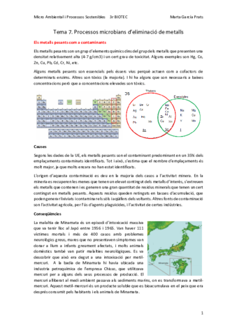 MAPS-Temes-7-13-Final.pdf