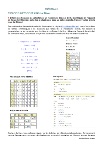 PRACTICA-3-RIM.pdf