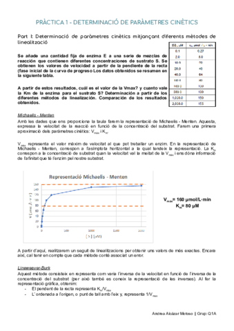 PRACTICA-1-RIM.pdf