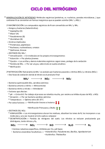 Ciclo-de-Nitrogeno-pdf.pdf