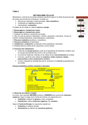 Tema 8. Metabolismo celular