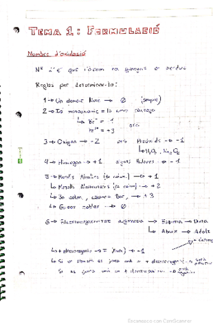 Tema-1-Formulacio.pdf