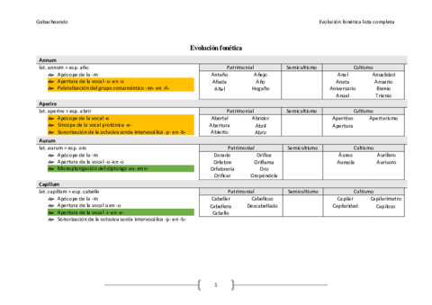 Evolucion-fonetica-lista-completa.pdf